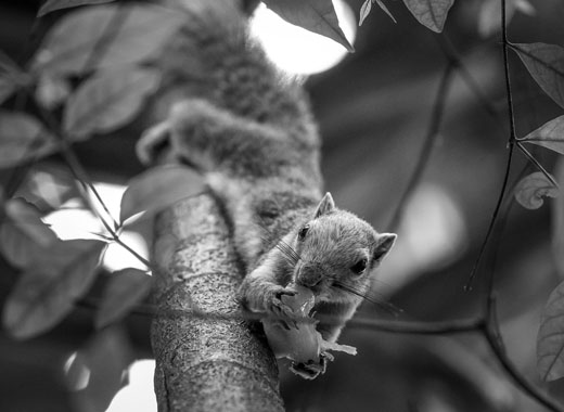 恶意发送验证短信